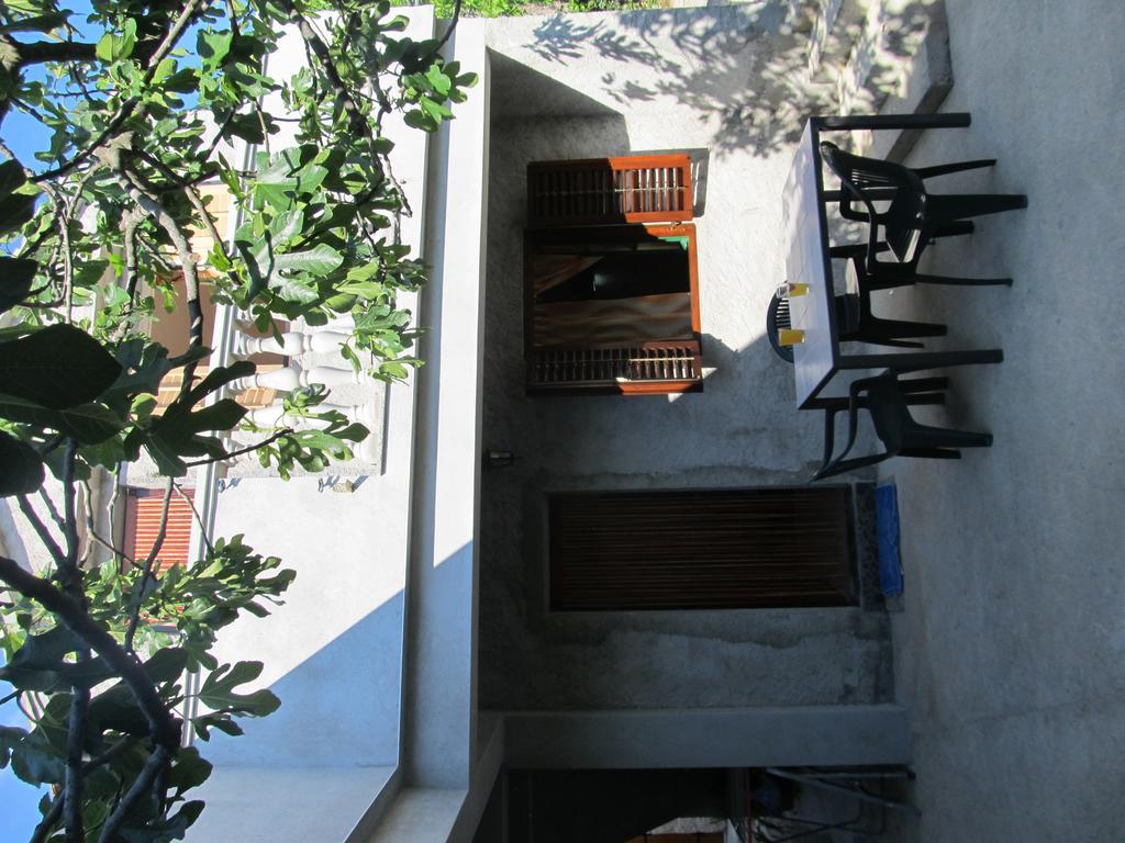 Hotel Petrcane Εξωτερικό φωτογραφία