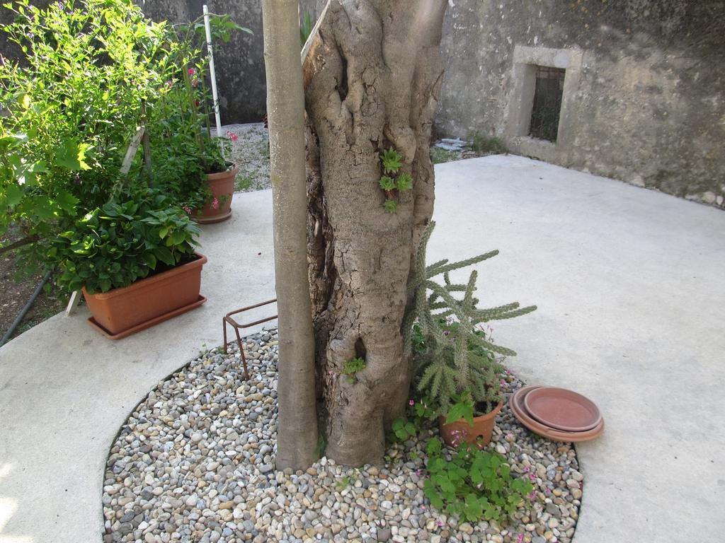 Hotel Petrcane Εξωτερικό φωτογραφία