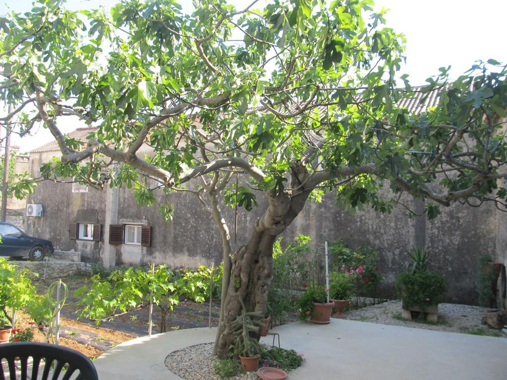 Hotel Petrcane Εξωτερικό φωτογραφία