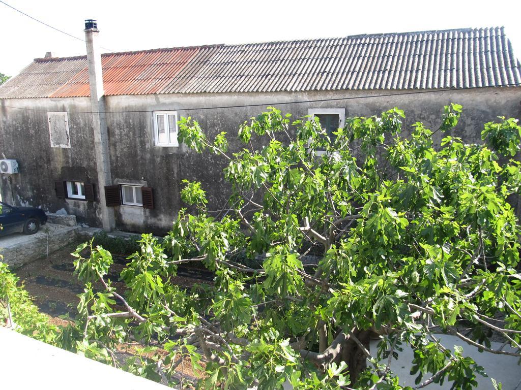 Hotel Petrcane Εξωτερικό φωτογραφία